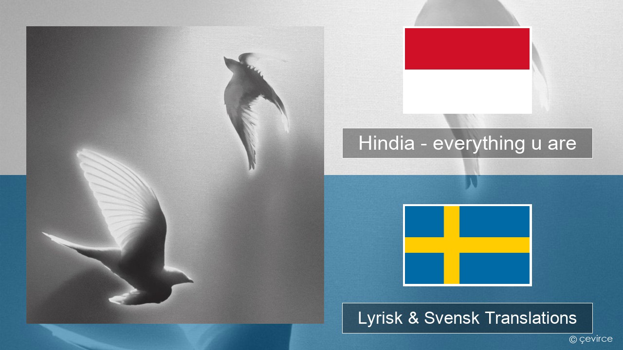 Hindia – everything u are Indonesisk Lyrisk & Svensk Translations