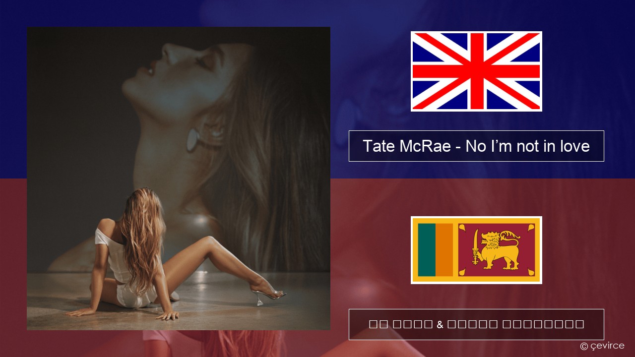 Tate McRae – No I’m not in love ඉංග්රීසි පද රචනය & සිංහල පරිවර්තන