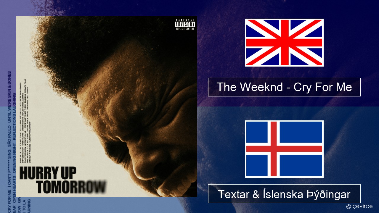 The Weeknd – Cry For Me Íslenska Textar & Íslenska Þýðingar