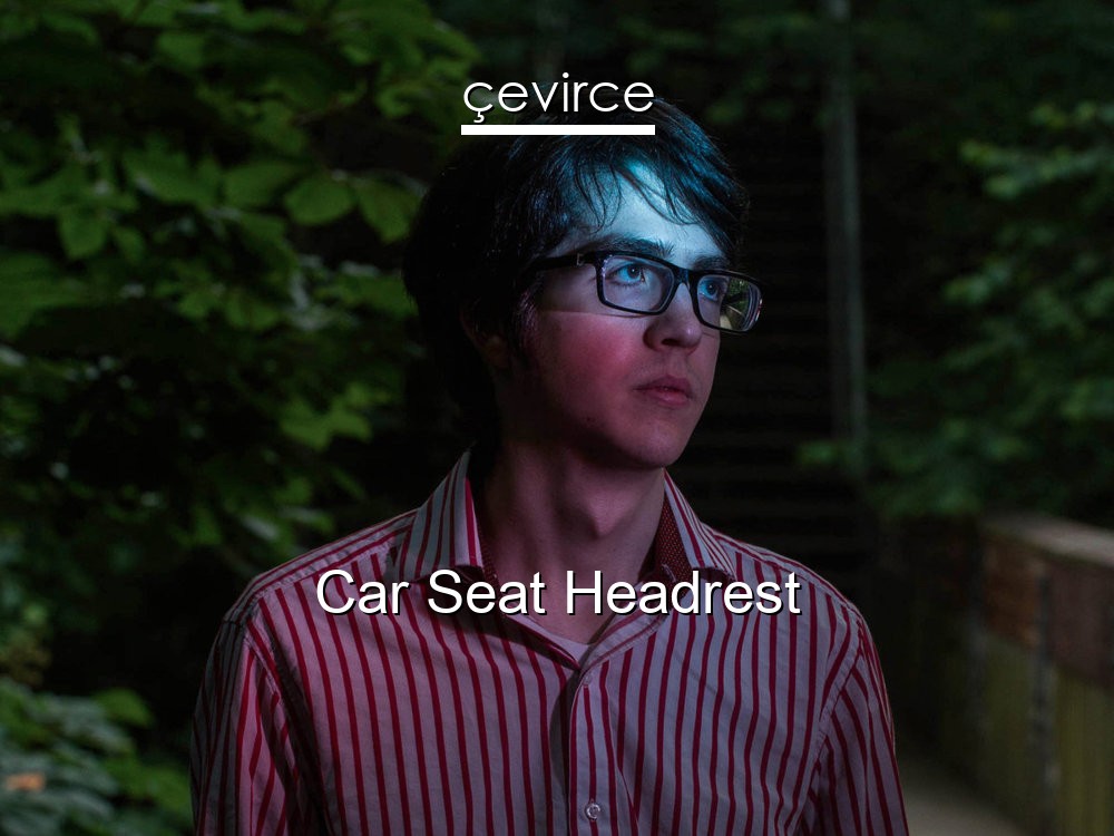 Car Seat Headrest