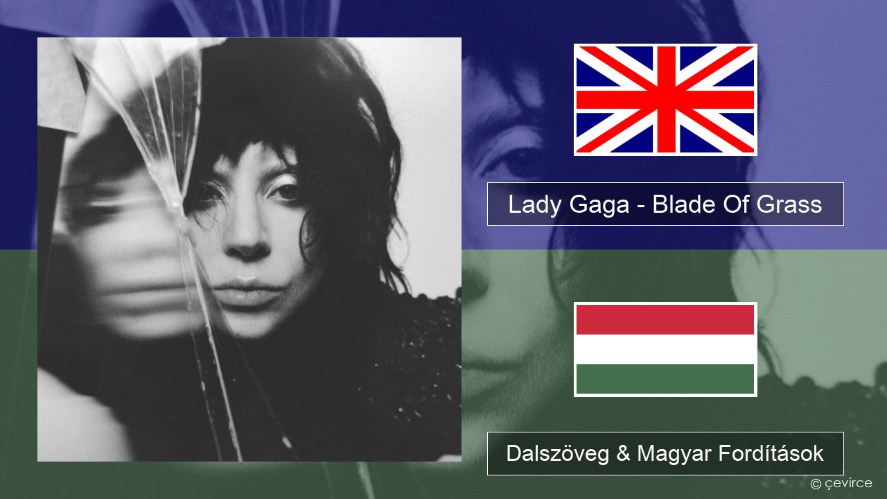 Lady Gaga – Blade Of Grass Magyar Dalszöveg & Magyar Fordítások