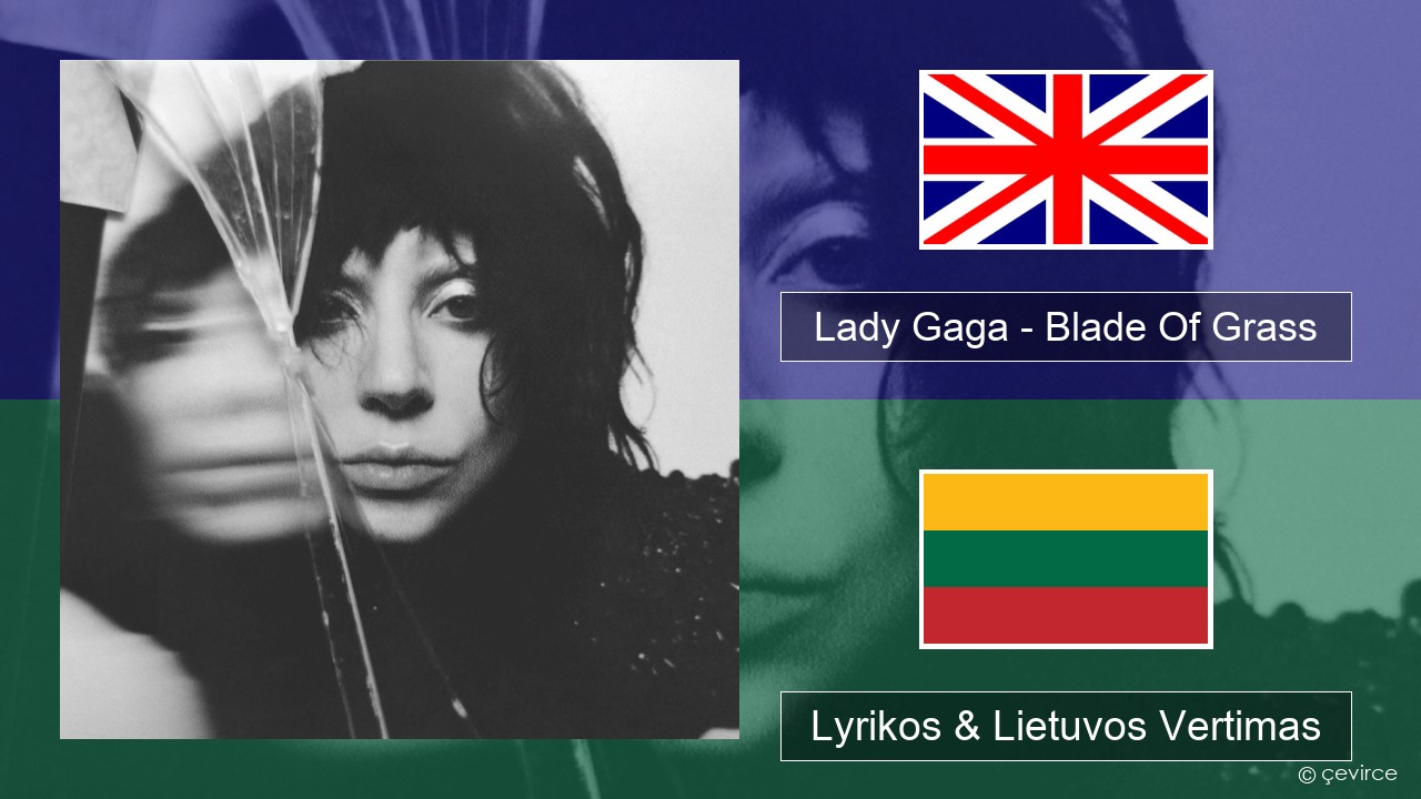 Lady Gaga – Blade Of Grass Anglų Lyrikos & Lietuvos Vertimas